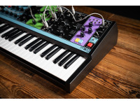Moog Matriarch Moog Matriarch
